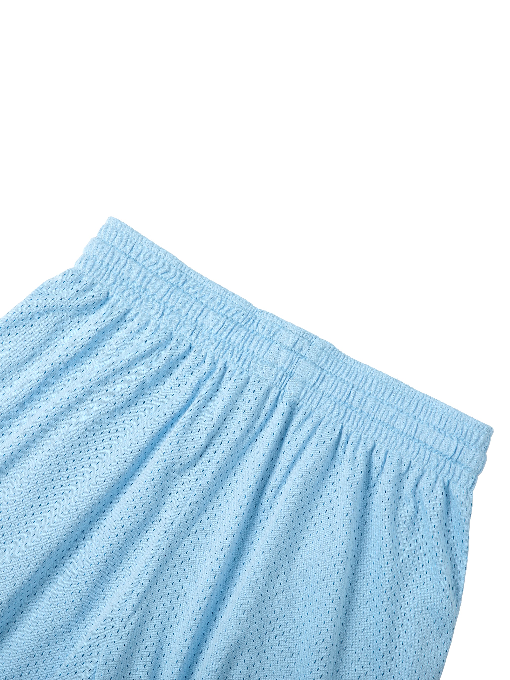 Mesh Training Shorts