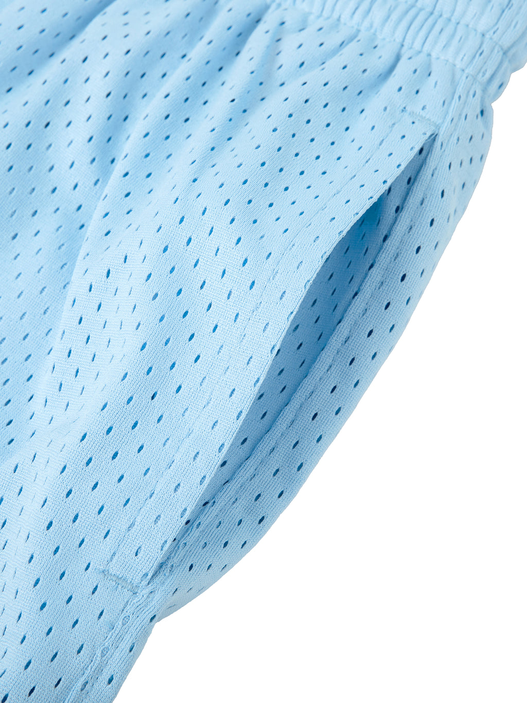 Mesh Training Shorts