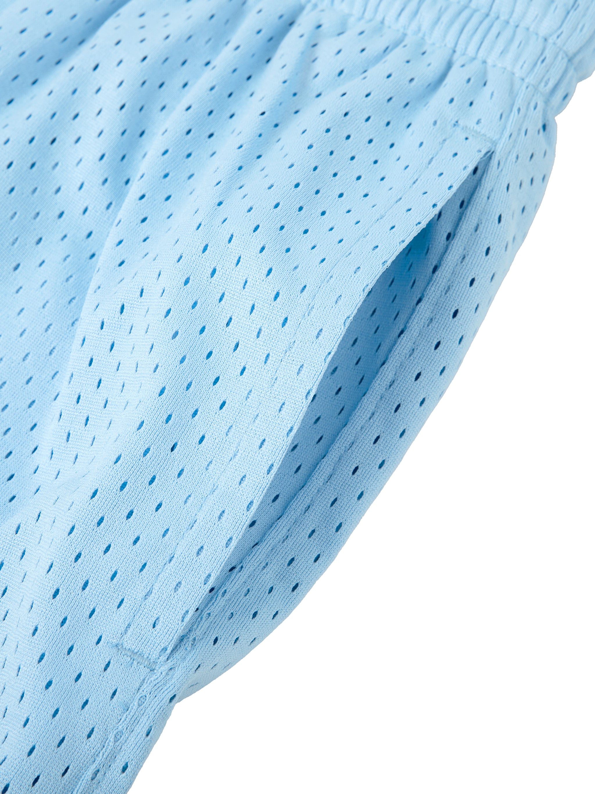 Mesh Training Shorts
